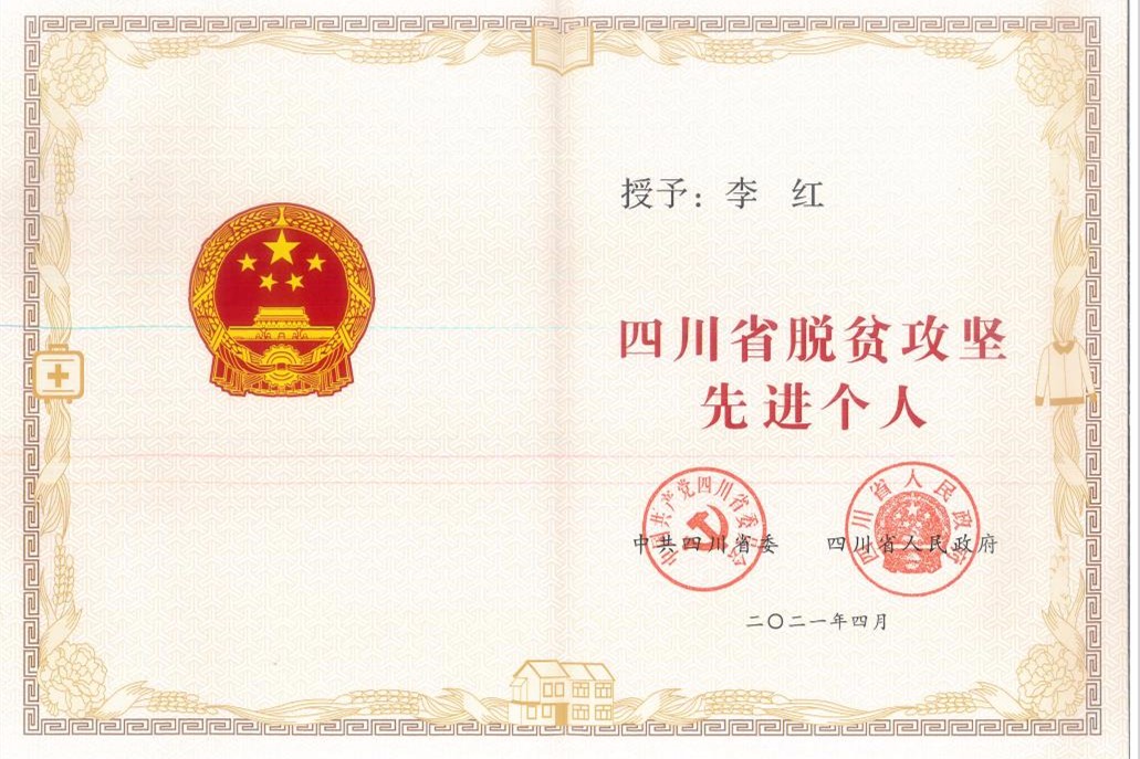 四川省脱贫攻坚先进个人